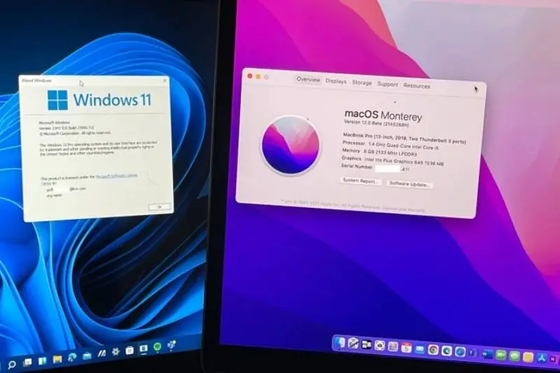 why is windows vs macos comparison important